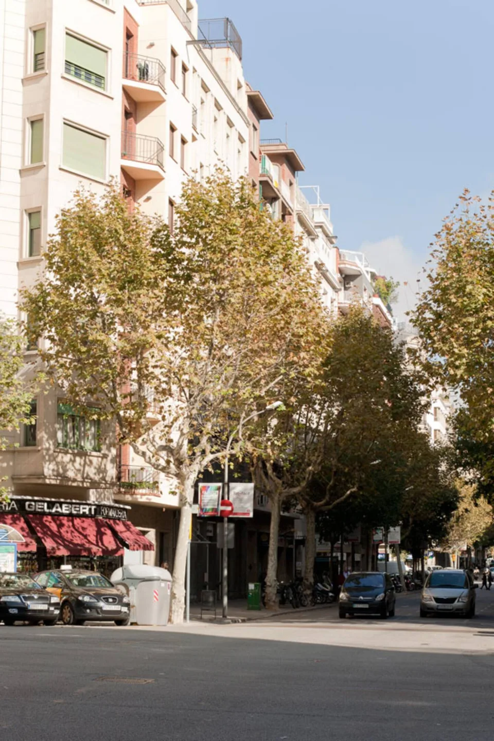 Calle del Eixample con plátanos frente al apartamento